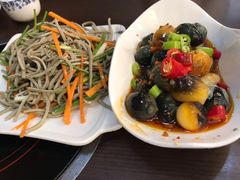 -老马家拉面(碧水花园东南)