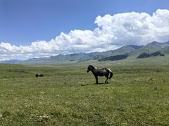 -新疆那拉提国家旅游度假区