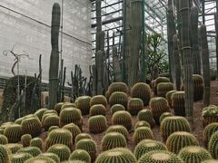 -南山植物园