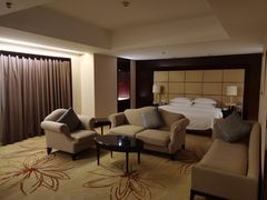 -张家港华芳金陵国际酒店