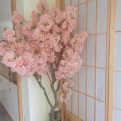 -茉秀必瘦站