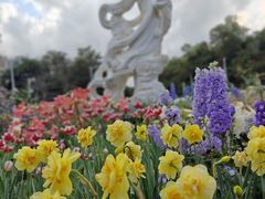 -深圳仙湖植物园