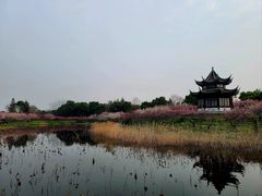 -上海海湾国家森林公园