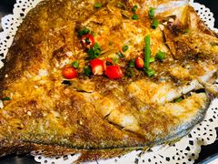 -九府羊·鲜羊火锅·烤串(新华路店)