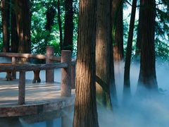 -东湖落雁景区