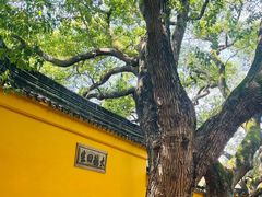 -西园戒幢律寺