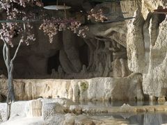 -中铁花水湾温泉酒店(大邑店)