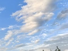-特克斯八卦城