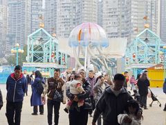 -海合安成都极地海洋公园