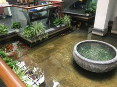 -旺顺阁鱼头泡饼(小红门店)