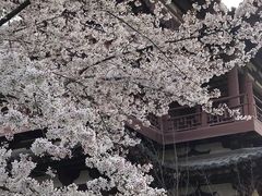 -西安青龙寺遗址景区