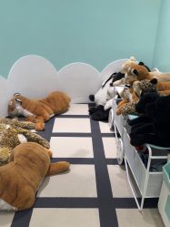 -奈尔宝·儿童乐园·亲子餐厅(苏州大悦城店)