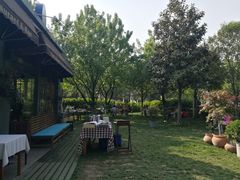 -唐城墙遗址公园