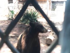 -昆明动物园