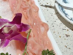 -二荆条·蜀鲜汇城市森林火锅
