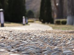 -棒棰岛宾馆景区