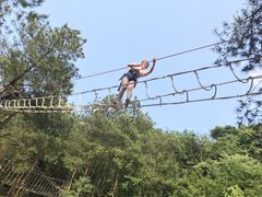 -梦幻奥陶纪景区