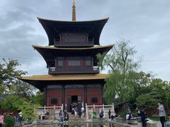 -广富林郊野公园
