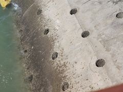 -东疆建设开发纪念公园