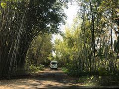 -海南热带野生动植物园