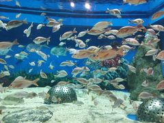 -成都浩海立方海洋公园