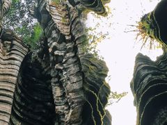 -梭布垭石林景区