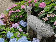 -上海共青森林公园