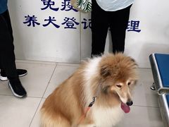 -申普宠物医院·眼科·心内科·影像科(普陀分院)
