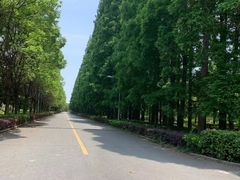 -金岛生态园烧烤露营地