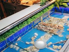 -格瑞欧海鲜自助烤肉火锅(光彩店)