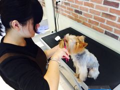 -Oh My Dog宠物沙龙(伊珊娜皮毛护理店)