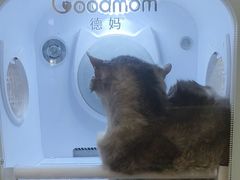 -悠尼宠物·独立低压伊珊娜洗护·美容·寄养(兰谷路店)