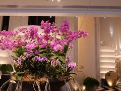 -新加坡文华东方酒店