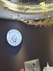-MUSES专业脱毛比基尼サロン日式连锁