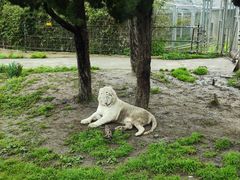 -上海野生动物园