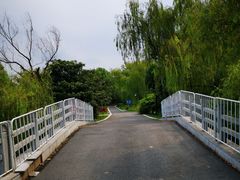 -祥源·阜阳生态乐园