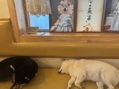 -柴の食堂·日式家庭料理·熊之肆(大学路店)