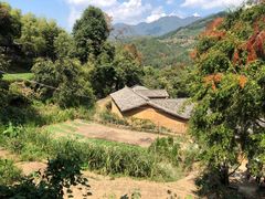 -杨家堂村