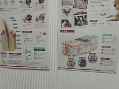 -守诺宠物医院·眼科· 特色牙科·异宠专科(虹口店)