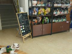 -宠福鑫动物医院·动物疾病诊疗中心(天通苑店)