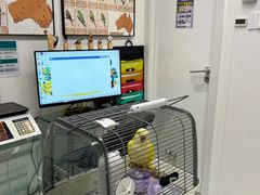 -立德异宠动物医院.兔鸟爬.内窥镜(天河店)