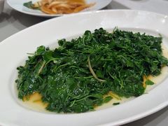 -红城阁·上海味道(四平路店)