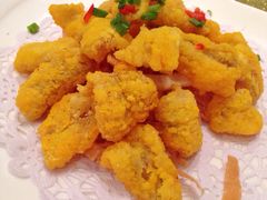 龙利鱼-宝燕壹号(徐汇店)