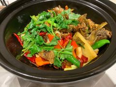 干锅泥猛-强记海鲜·大排档(蛇口新街店)