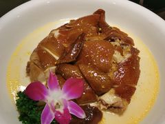 -桂林肥仔·中华餐饮名店(园湖店)