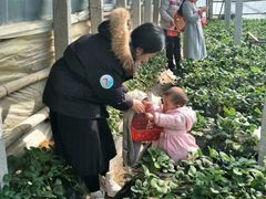 -烟台东联一汽丰田4S店(福山区店)