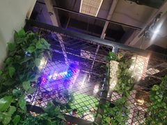 -莽子老火锅(大坪店)