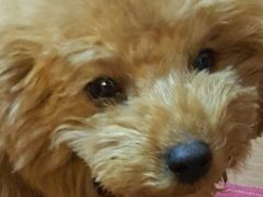 -宠颐生中康贝怡动物医院
