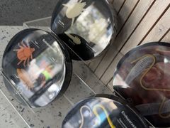 -半岛宠物医院24小时(白果林店)
