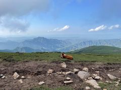 -灵山
